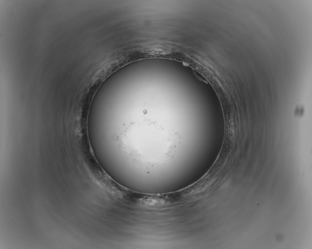 X0000096170512200802081414