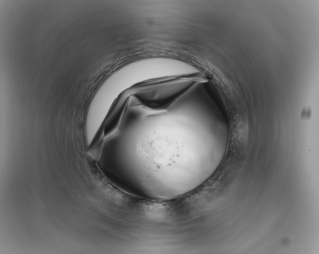 X0000096170513200802081414