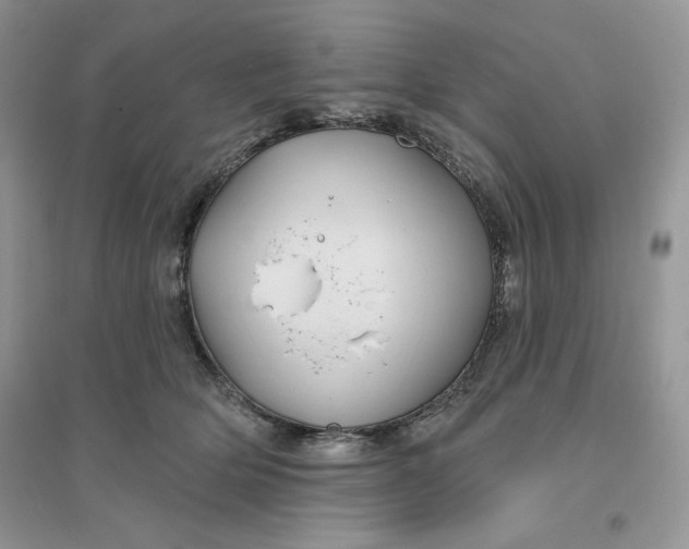 X0000096170514200802081414