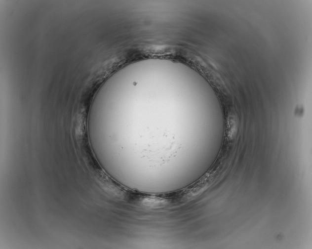 X0000096170515200802081414