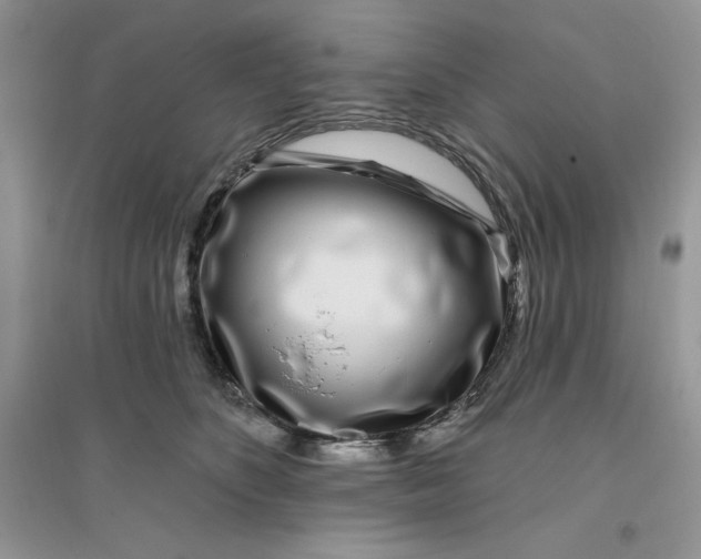 X0000096170516200802081414