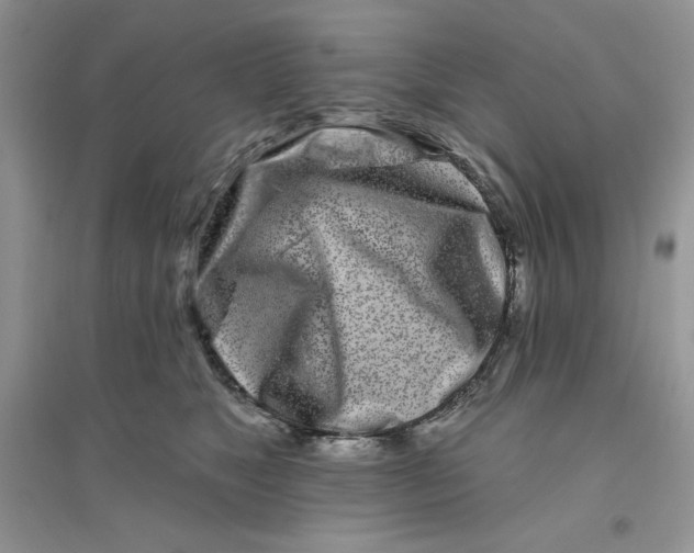 X0000096170517200802081414