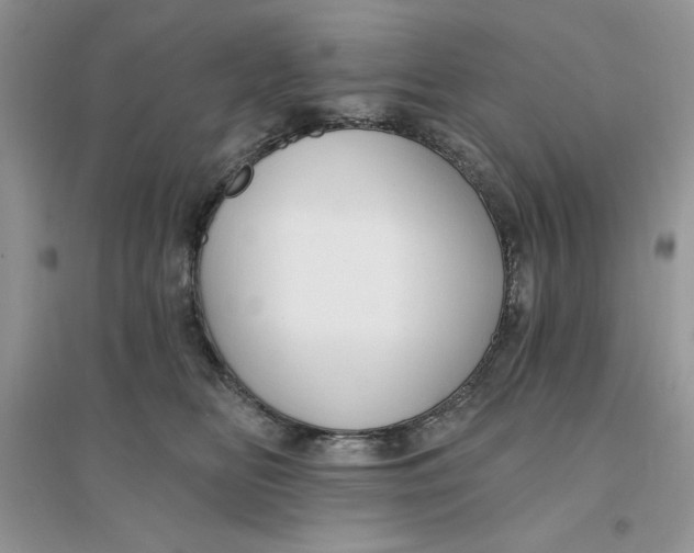 X0000096170518200802081414