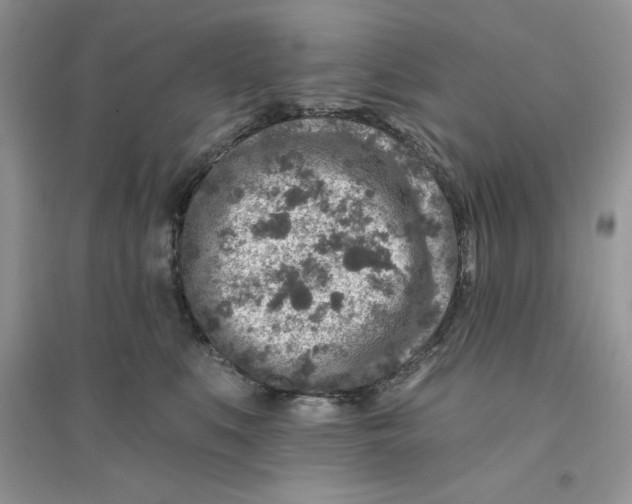 X0000096170519200802081414