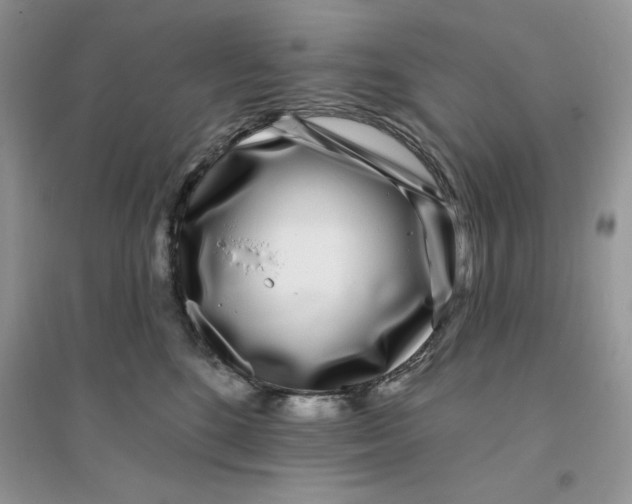 X0000096170520200802081414