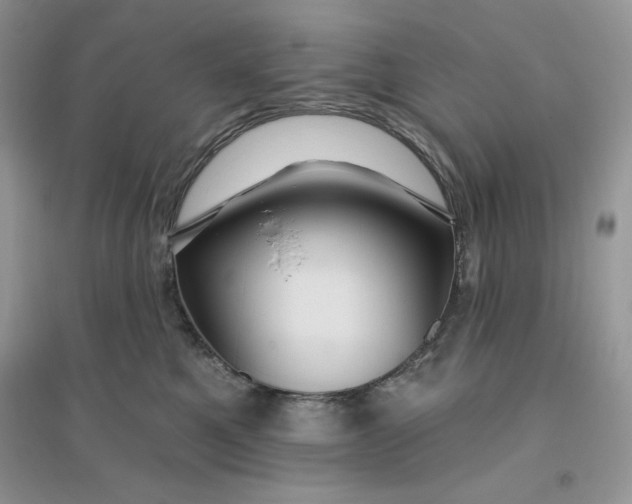 X0000096170521200802081414