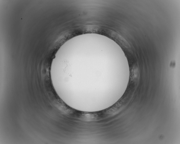 X0000096170522200802081414