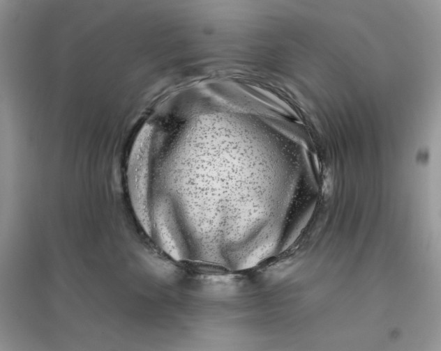 X0000096170524200802081414