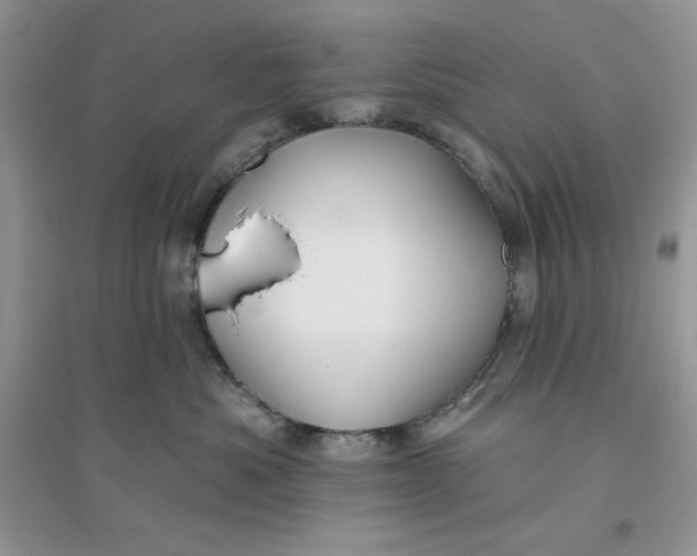 X0000096170525200802081414