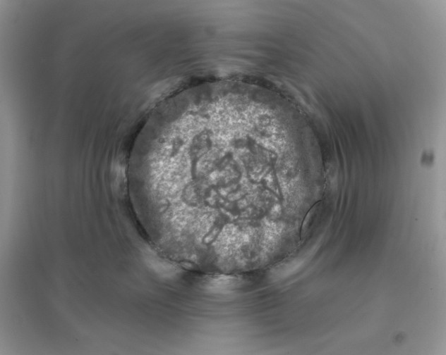 X0000096170527200802081414