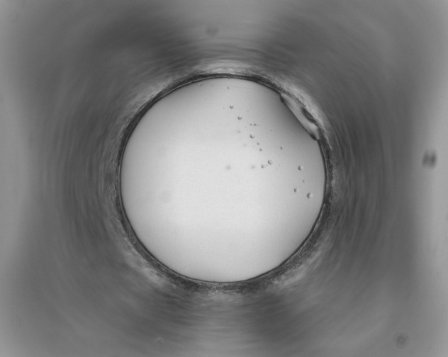 X0000096170529200802081413