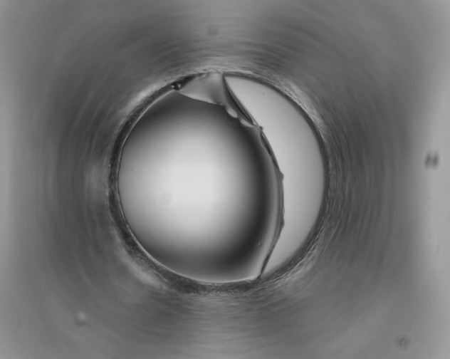 X0000096170530200802081413