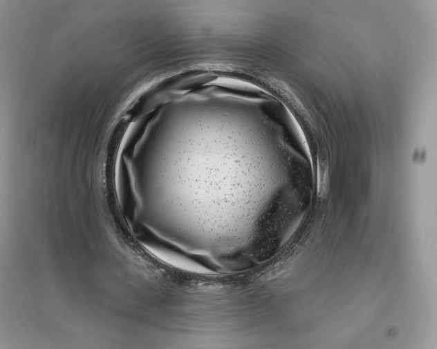 X0000096170531200802081413