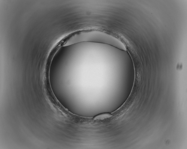 X0000096170532200802081413