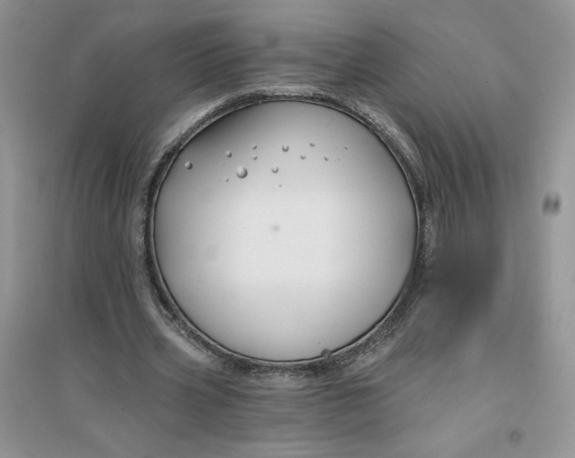 X0000096170533200802081413