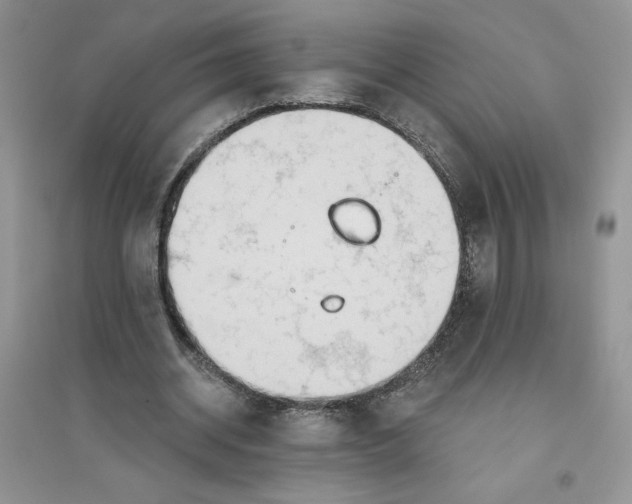 X0000096170534200802081413