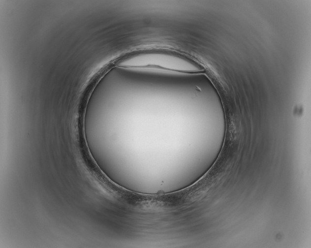 X0000096170535200802081413