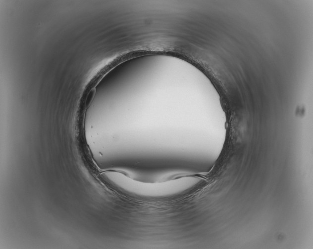 X0000096170536200802081413