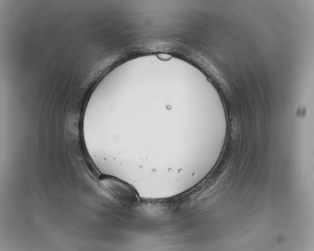 X0000096170537200802081413