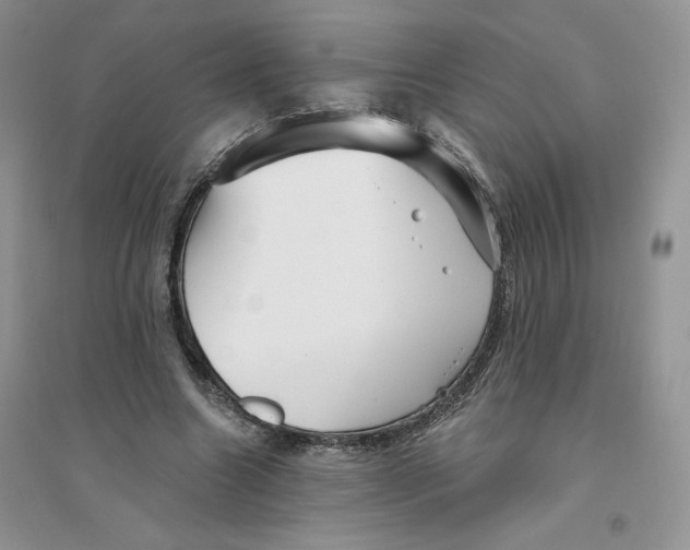 X0000096170538200802081413