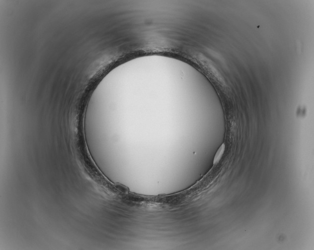 X0000096170539200802081413