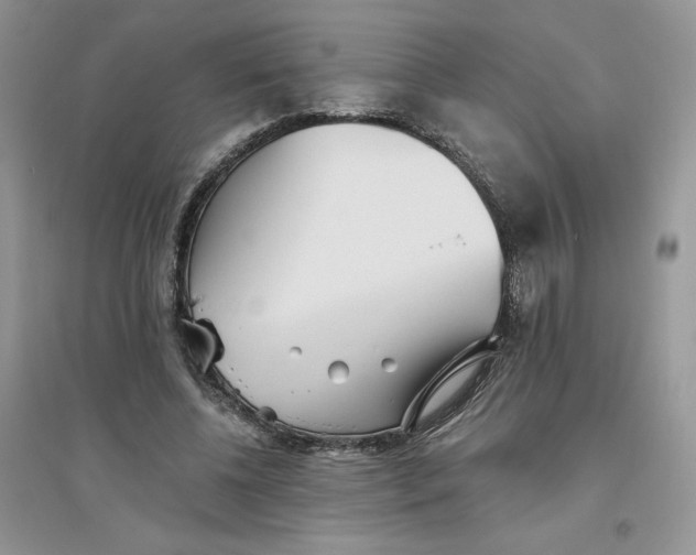 X0000096170540200802081413