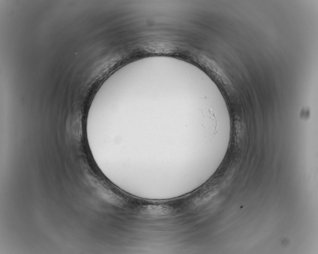 X0000096170541200802081413