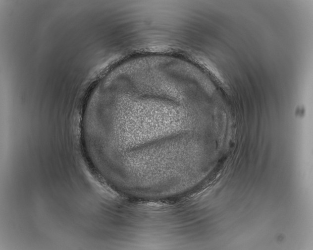 X0000096170542200802081413