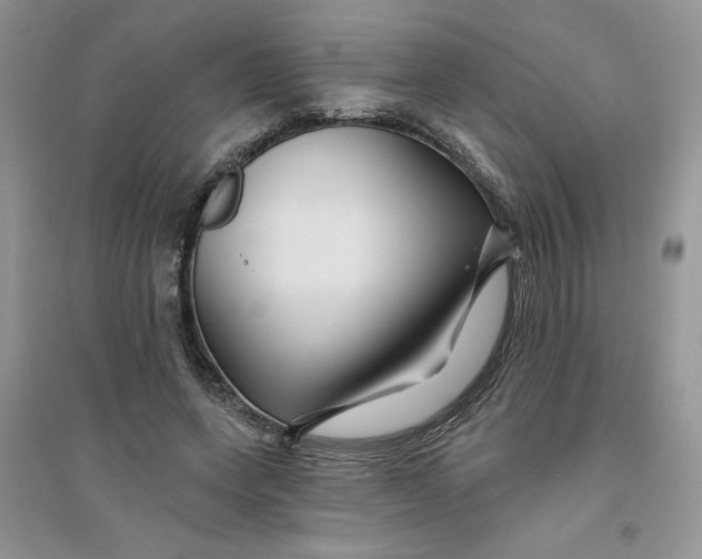 X0000096170543200802081413