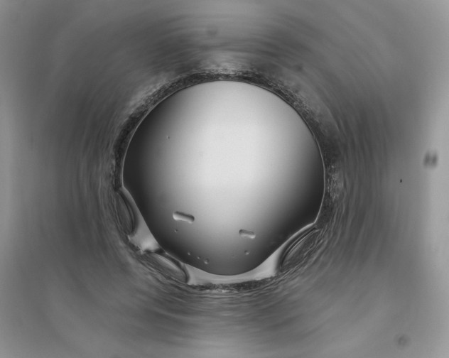 X0000096170544200802081413