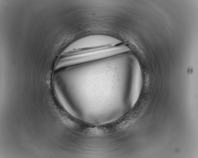 X0000096170545200802081413