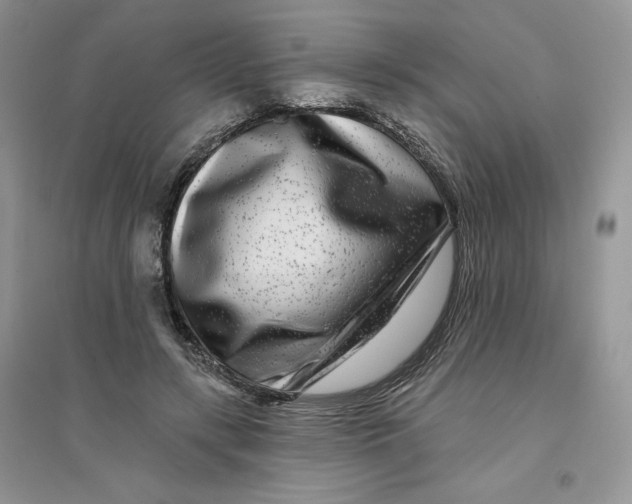 X0000096170547200802081413