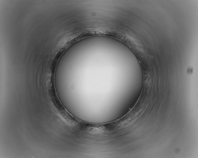 X0000096170548200802081413