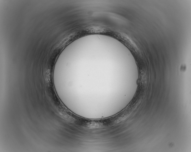 X0000096170549200802081413