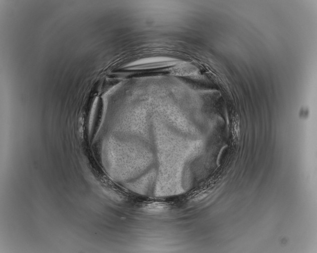 X0000096170551200802081414