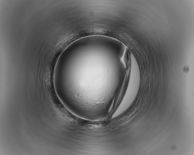 X0000096170552200802081414