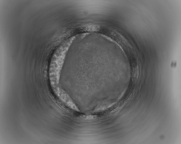 X0000096170553200802081414