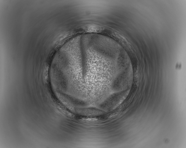 X0000096170554200802081414