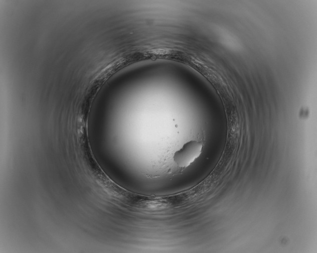 X0000096170555200802081414