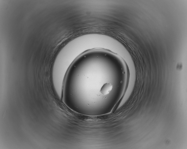 X0000096170556200802081414