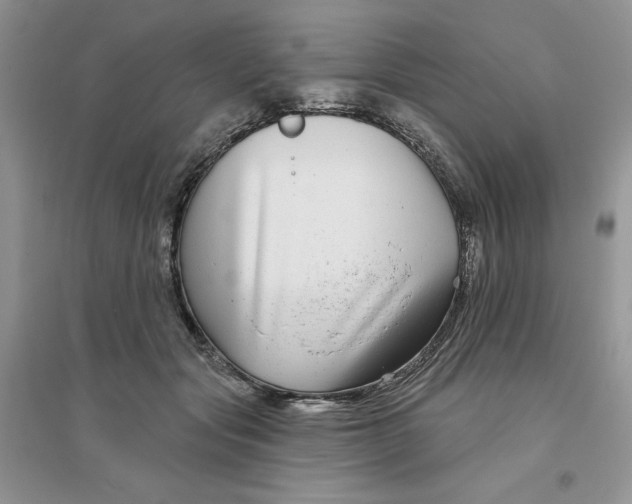 X0000096170557200802081414