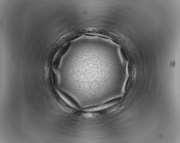 X0000096170558200802081414