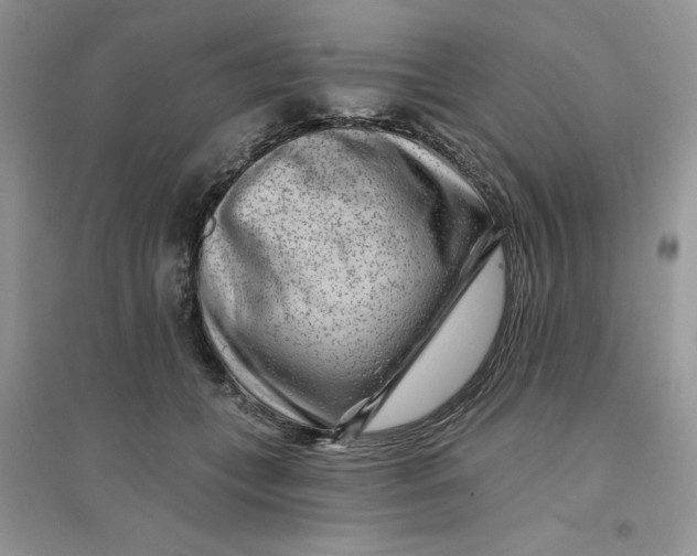 X0000096170559200802081414