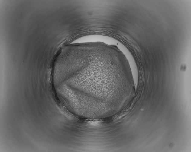 X0000096170560200802081414