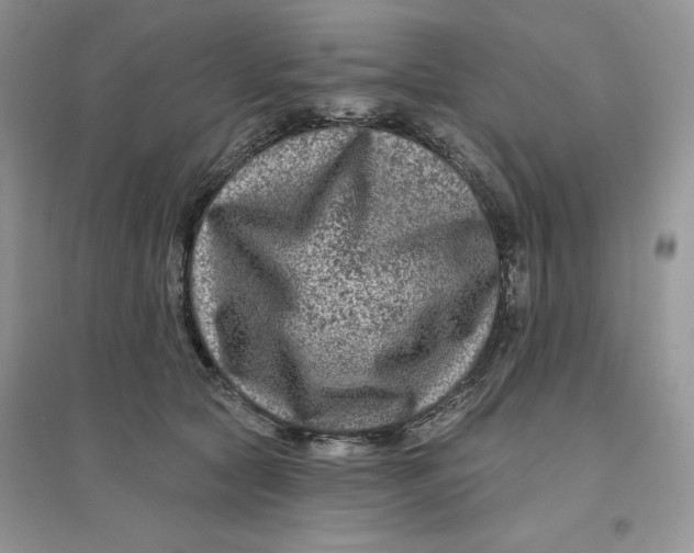 X0000096170561200802081414