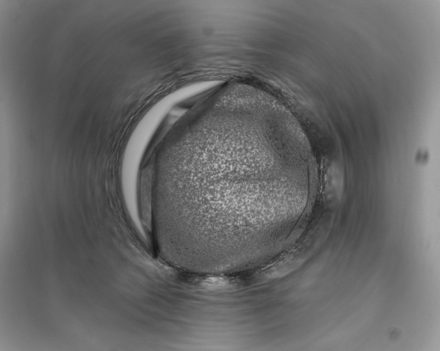 X0000096170562200802081414