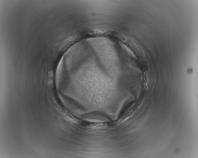 X0000096170563200802081414