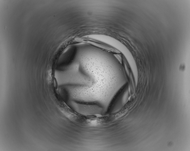 X0000096170564200802081414