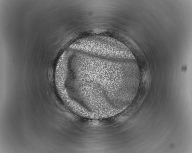 X0000096170565200802081414