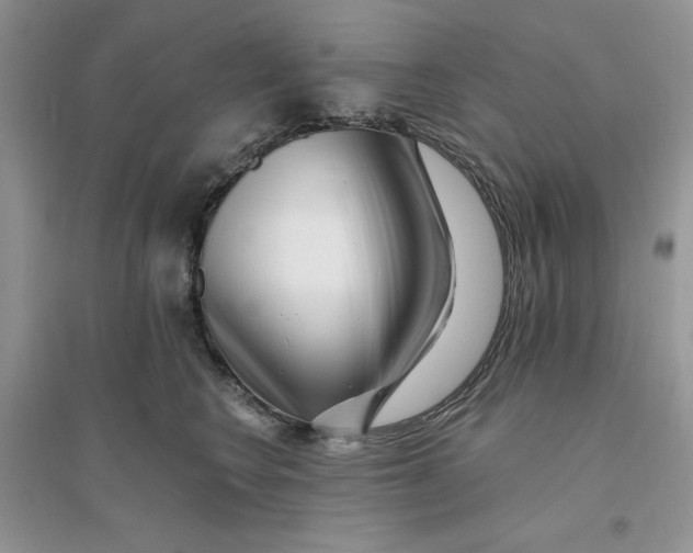 X0000096170566200802081414